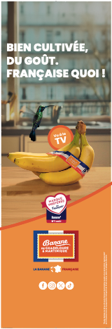 Banane de Martinique et de Guadeloupe : Totem