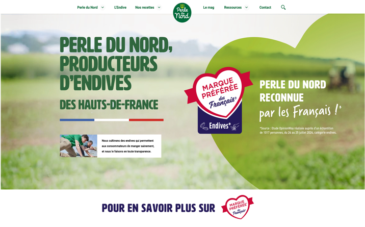 Perle du Nord : Site internet